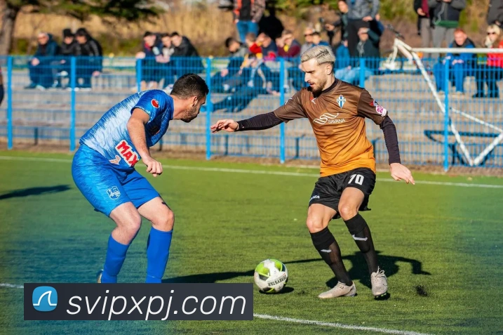 新葡京官网APP 封面图